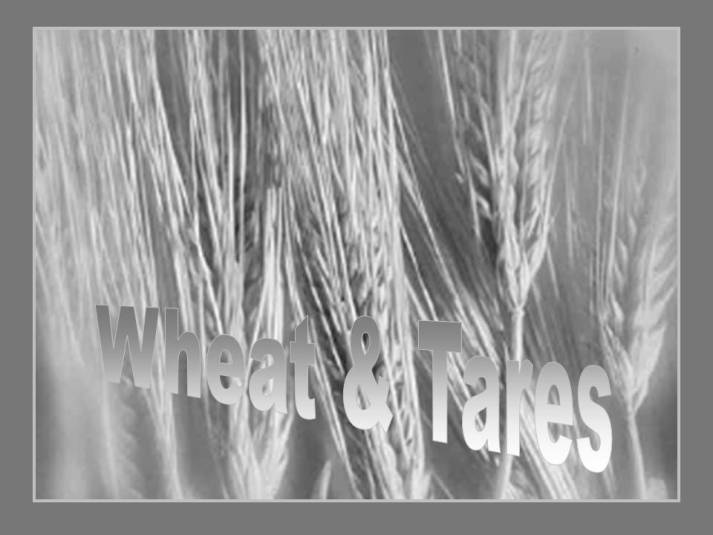 WheatAndTares