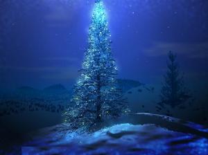 christmas-tree-blue cool